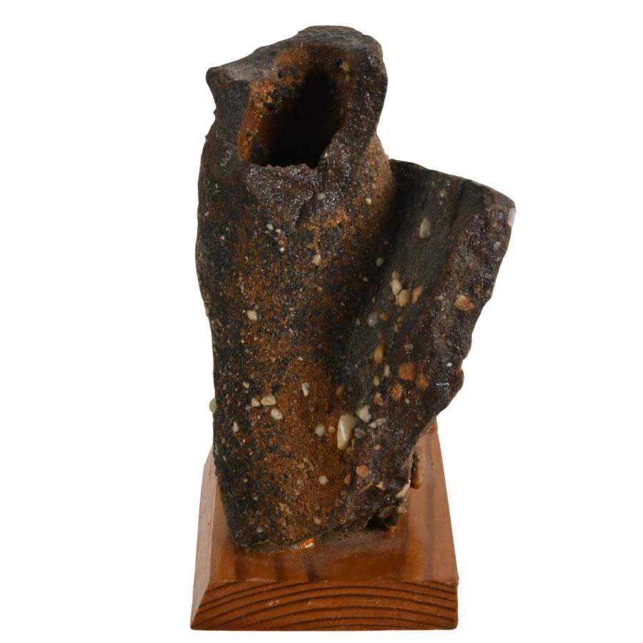 Limonite Mangan German Bog Fossil-4