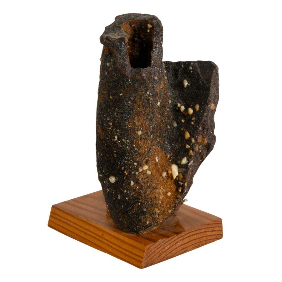 Limonite Mangan German Bog Fossil-3