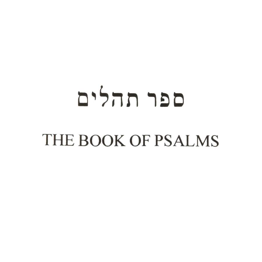 Bronze Menorah with Dual Language Psalm Book and Sterling Ben-Zion Fiddler-2