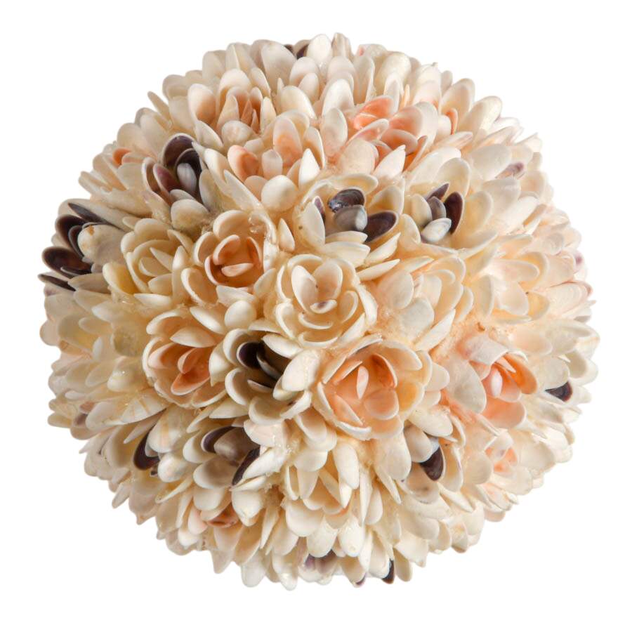 Hand-Made Seashell Pomander Ball-2