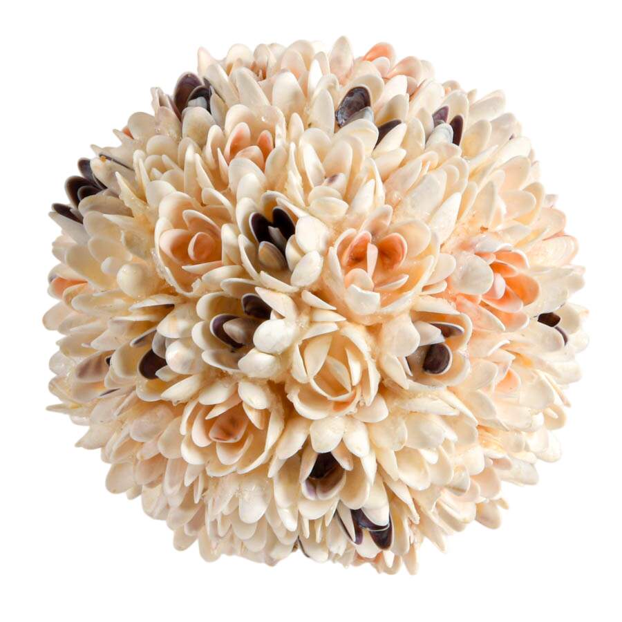 Hand-Made Seashell Pomander Ball-1