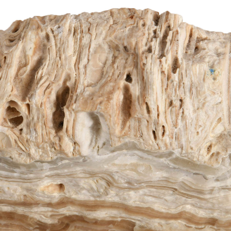 Natural Zebra Calcite Slab-4