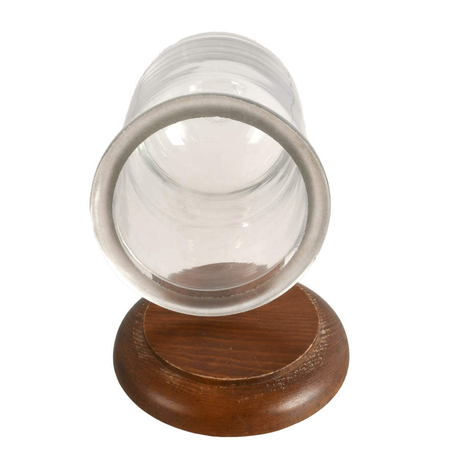 Antique Glass Cloche with Wooden Base-6