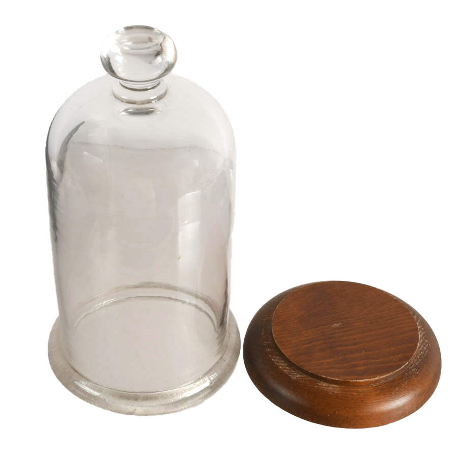 Antique Glass Cloche with Wooden Base-4