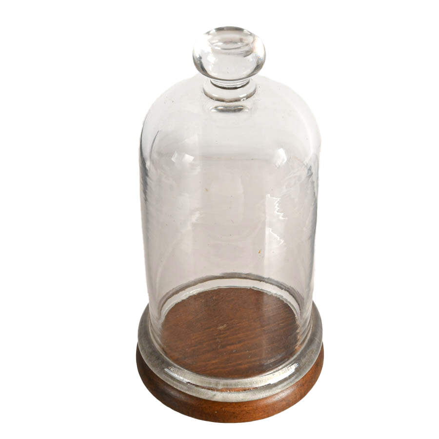 Antique Glass Cloche with Wooden Base-3
