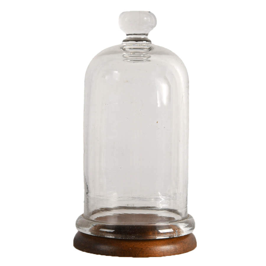 Antique Glass Cloche with Wooden Base-2