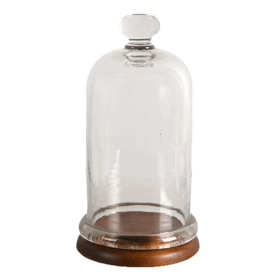 Antique Glass Cloche with Wooden Base-1
