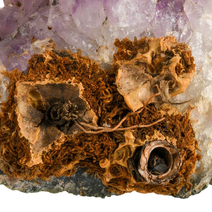 Natural Amethyst Cluster Specimen-5