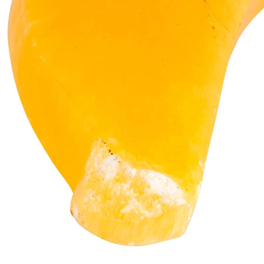 Collection of Eight Stone Fruit and Veggies-9