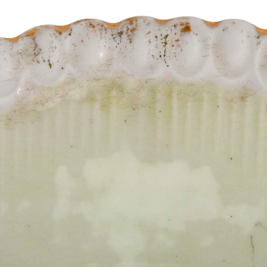 Antique R.S. Prussia Porcelain Celery Dish-5