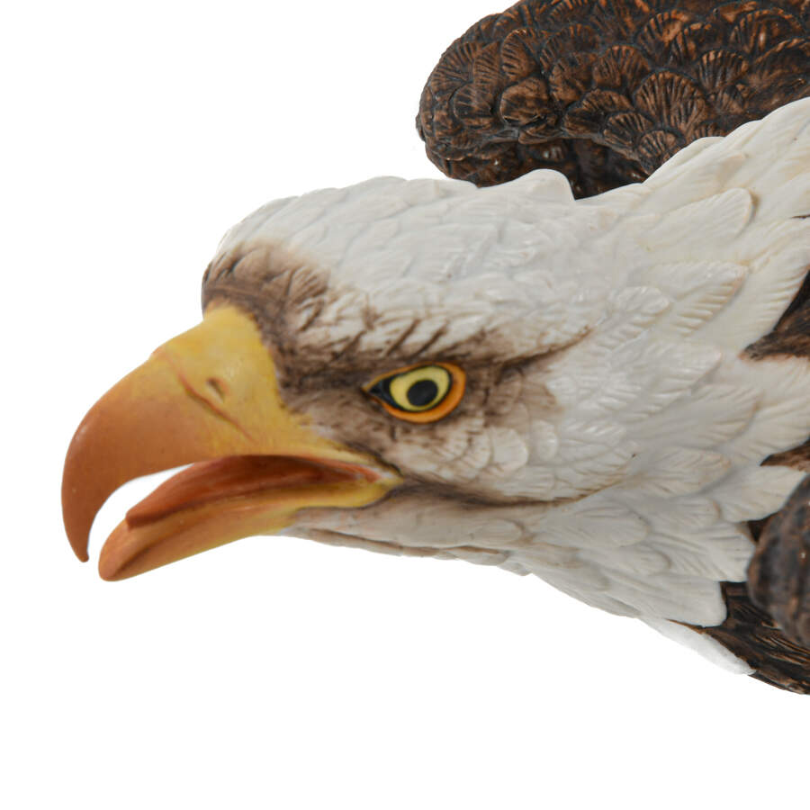 James Audubon American Bald Eagle Porcelain Statue-4