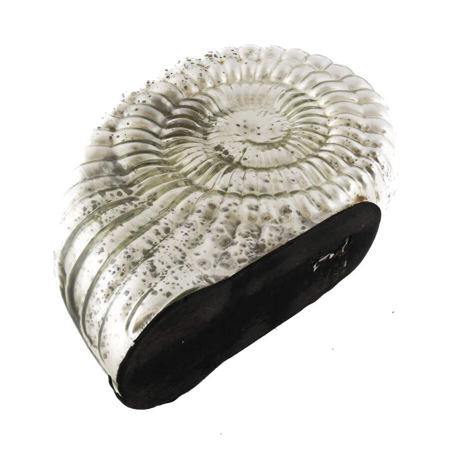 Silver Metallic Decorative Art Glass Nautilus Sculpture-5