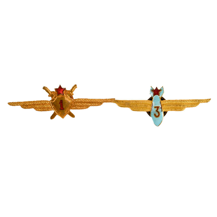 Nine Soviet Union Brass and Enamel Navigator, Wings, and College Badges-2