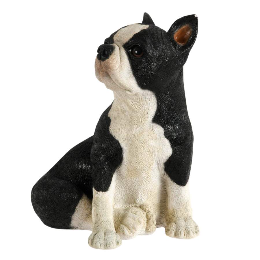 Mid-Century Modern Chalkware Boston Terrier Dog Sculpture Bank-3