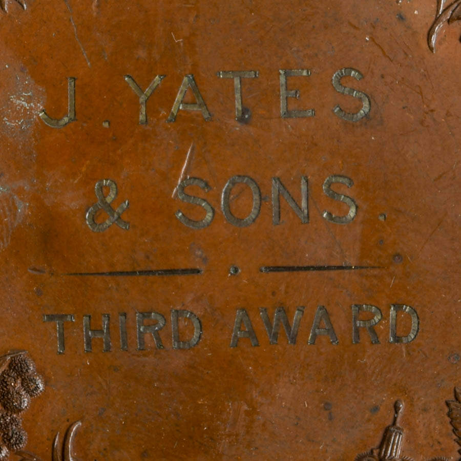 1879 Sydney International Exhibition Medal Designed by J.S. & A.B. Wyon-5