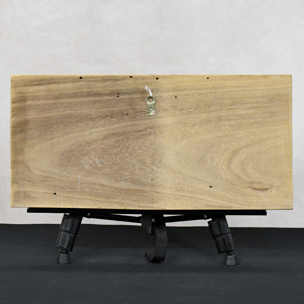 Manuel Paz Untitled Acrylic on Reclaimed Wood, A Bicycle Built for Two-2