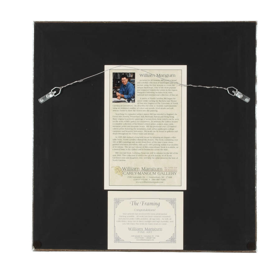 Framed Print of William Mangum's "Swan"-5