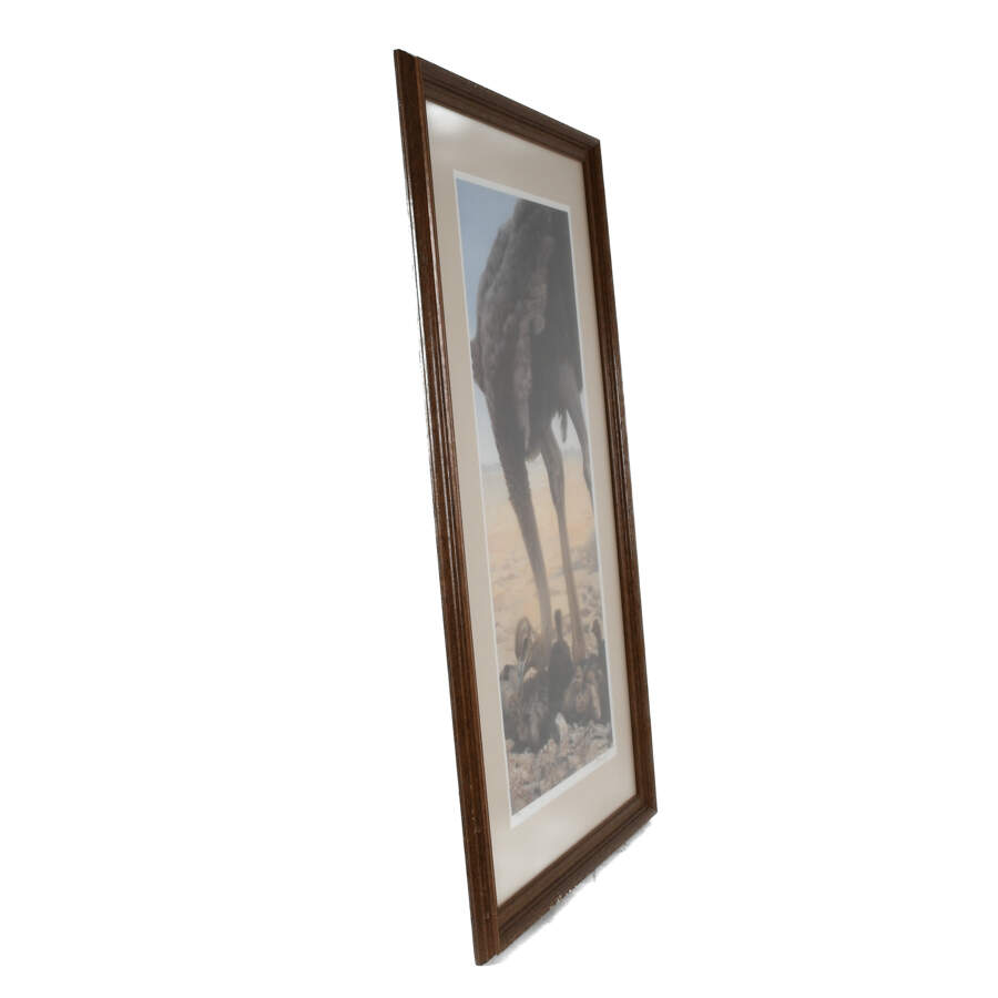 Framed Lithograph Titled "Hatchlings" by John S. Lester-4