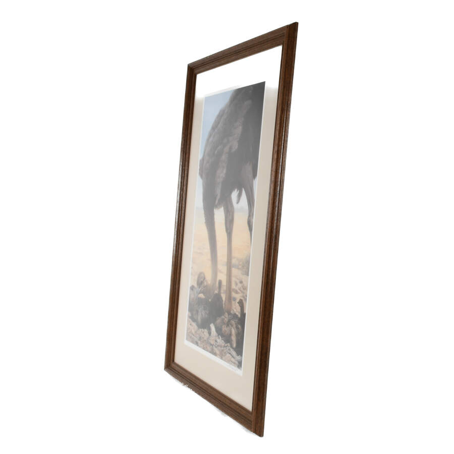 Framed Lithograph Titled "Hatchlings" by John S. Lester-3