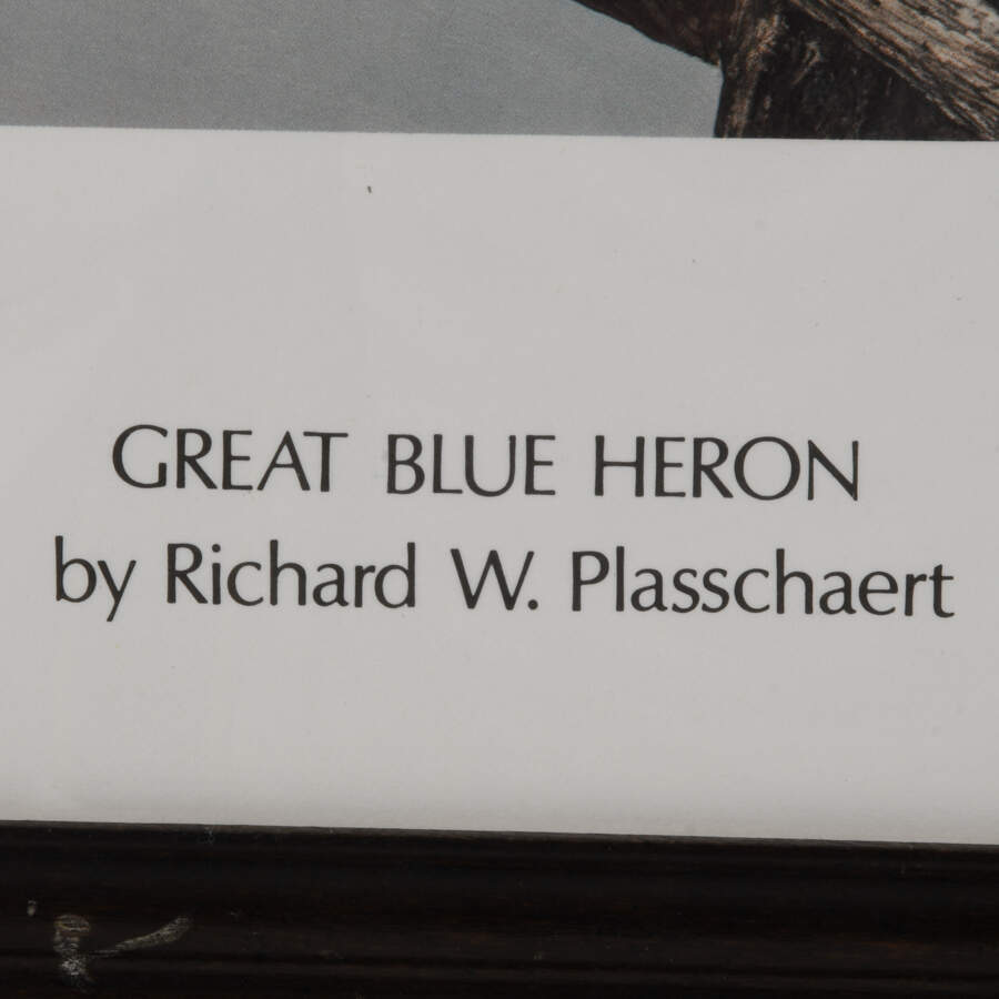 Framed Print of Richard W Plasschaert's "Great Blue Heron" Numbered 158/750-4