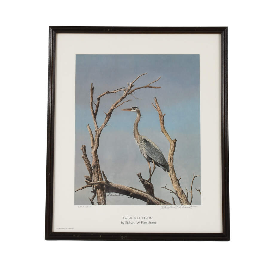 Framed Print of Richard W Plasschaert's "Great Blue Heron" Numbered 158/750-1