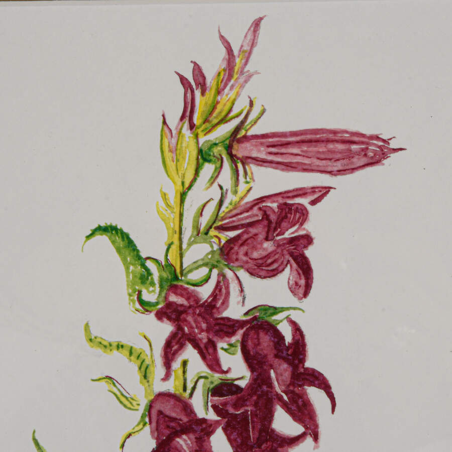 Framed S. Kent Watercolor Campanula Flower Limited Edition 4/50-4