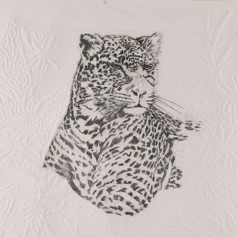 Framed Signed Jonna White Watcher of the Canopy Limited-Edition Mix Media-2