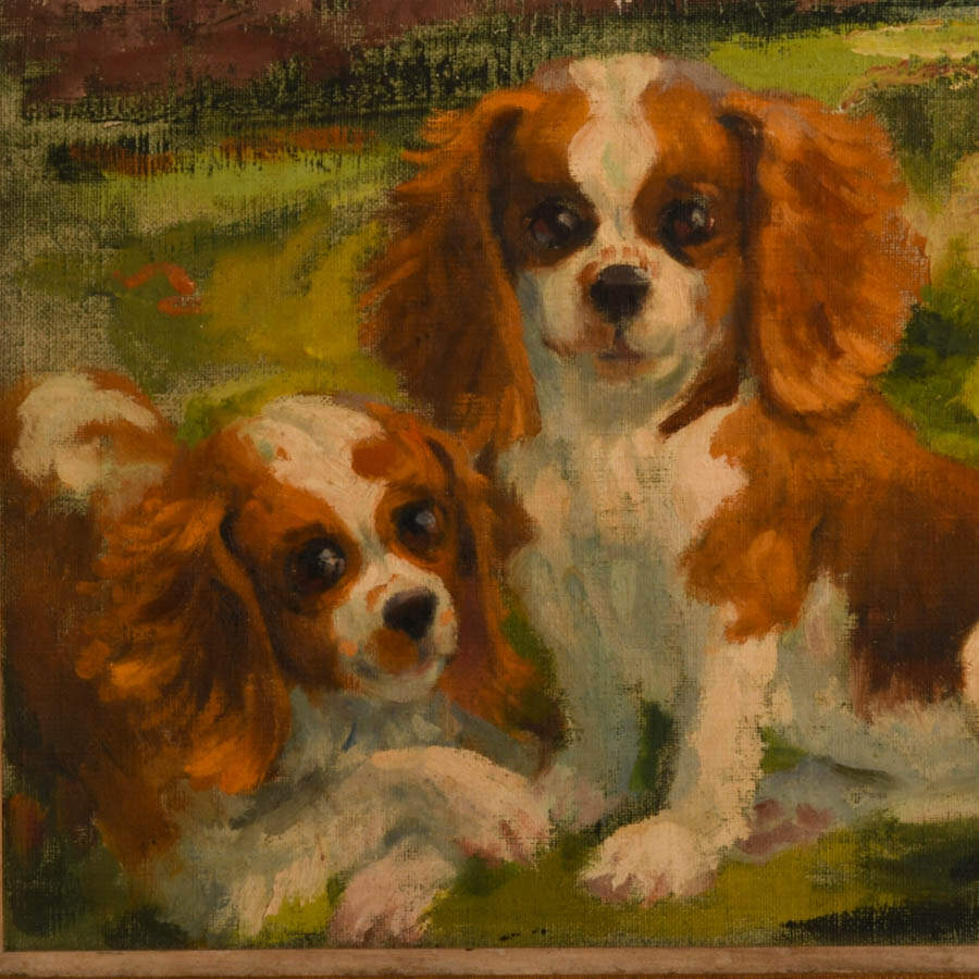 Framed Cavalier King Charles Spaniels Oil on Board Signed Amy Jones 1972-2