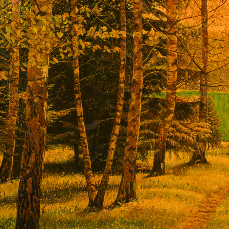 Framed Forest Landscape Oil on Canvas Board Signed by N. Licata-4