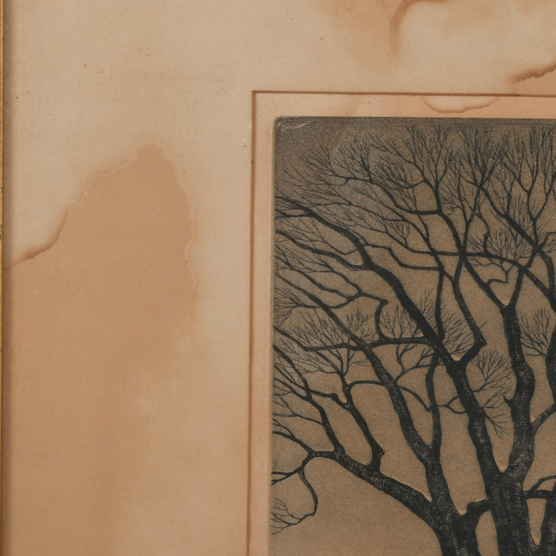 "The Sentinel" by William MacLean Original Etching-4