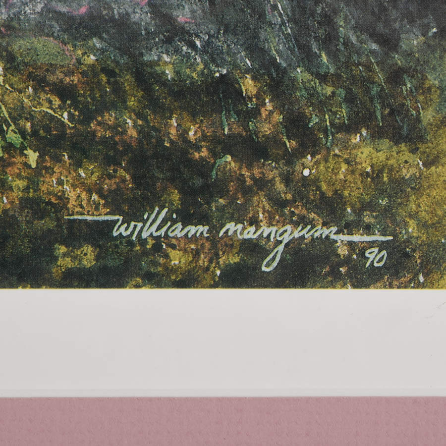 Framed Signed and Numbered William Mangum "Springtime in Fisher Park" Print-2