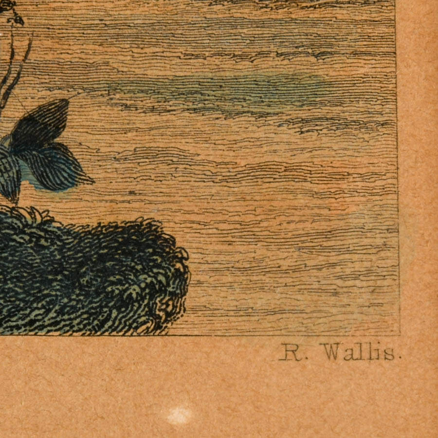 "New York Bay (From the Telegraph Station)" Engraving Print by R. Wallis-6