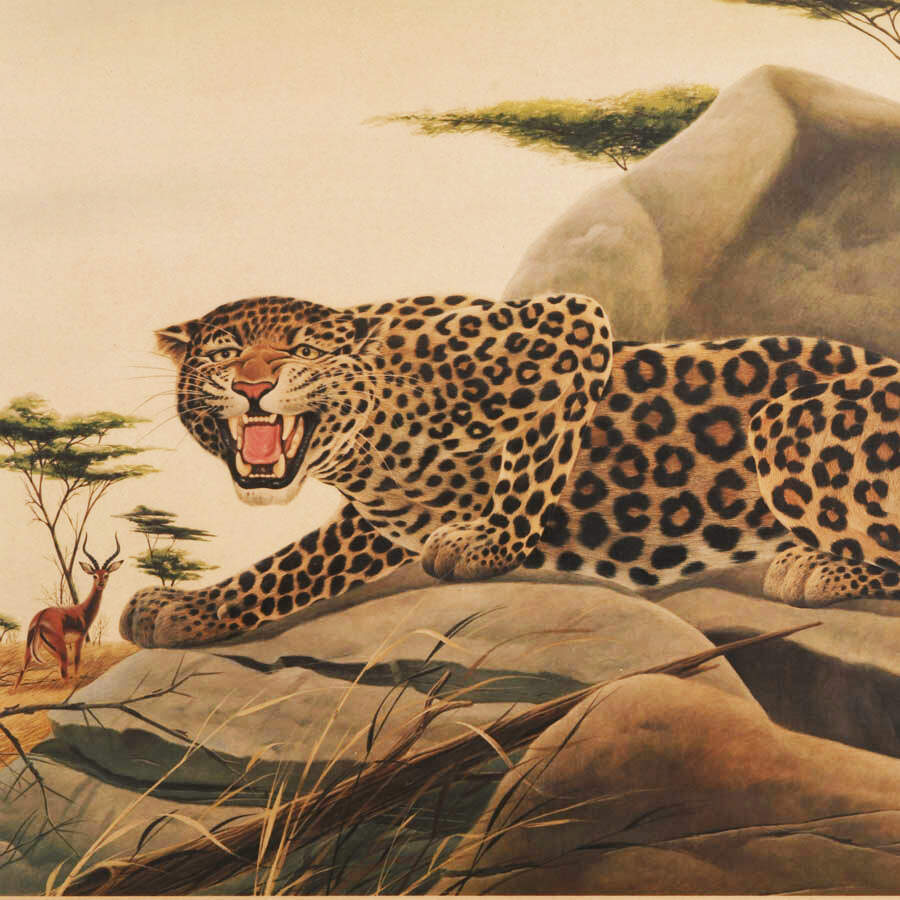 "Leopard" Lithograph on Paper Signed & Numbered 466/3500 by John A. Ruthven-2