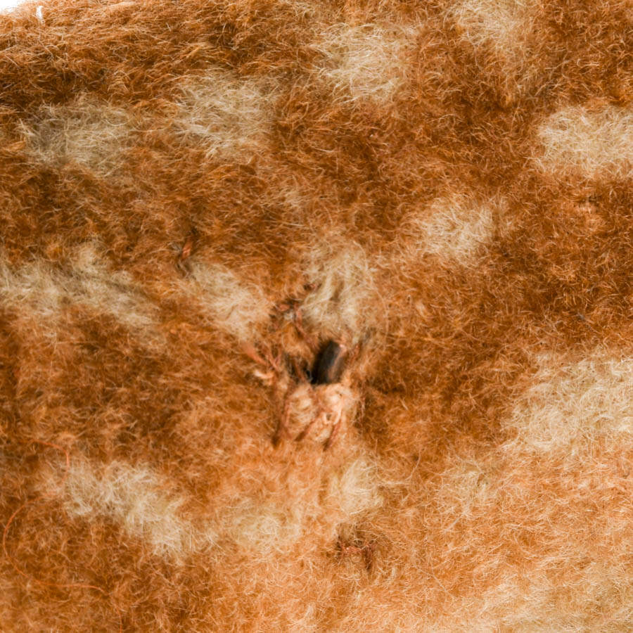 Steiff Wool Plush Fawn-4