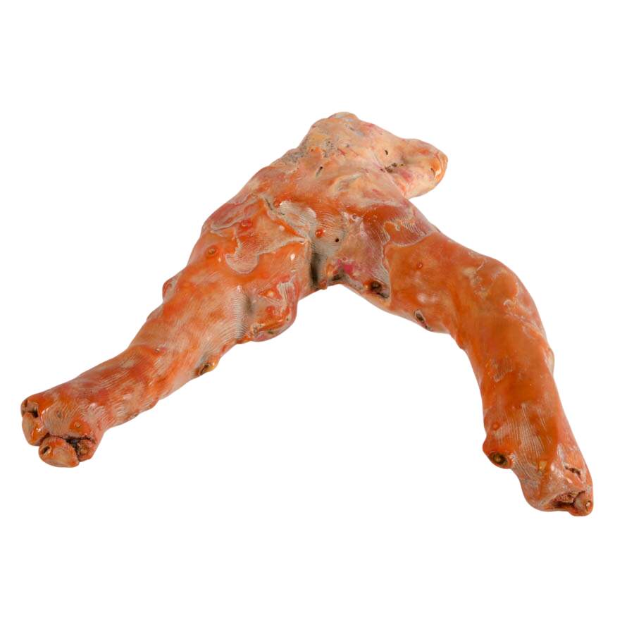 Fossilized Natural Red Coral Branch Specimen-7