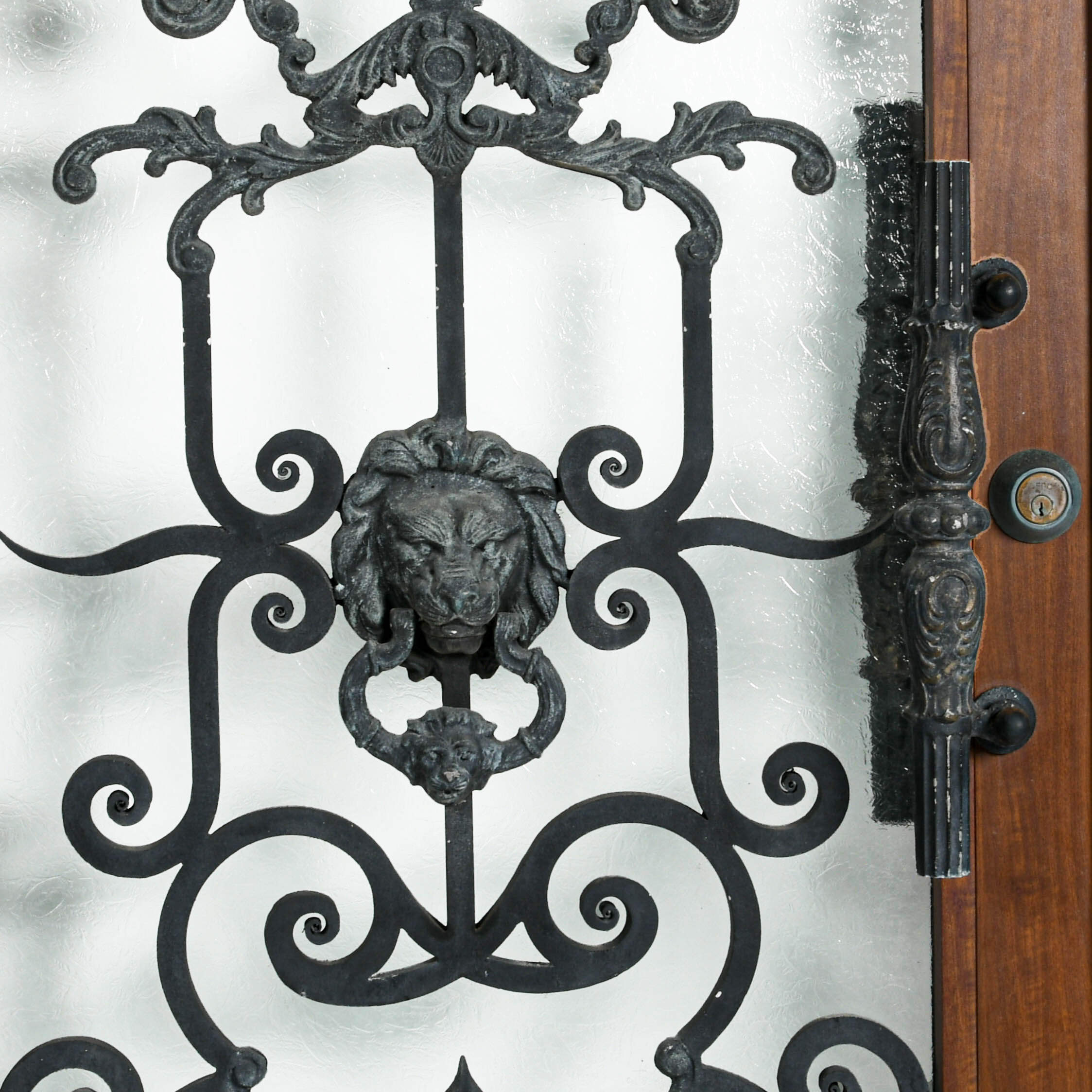 Wrought Iron Arched Floral and Lion Motif Exterior Entryway Door-3