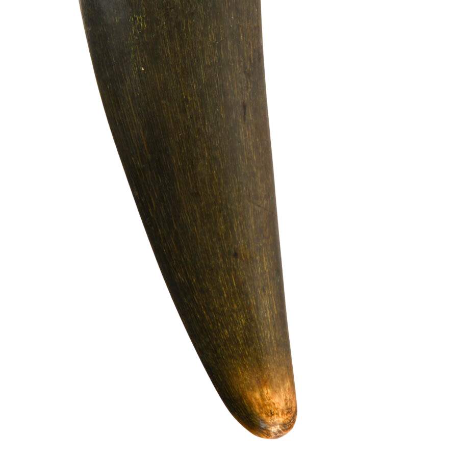 Indonesian Carved Buffalo Horn Wall Pocket-5