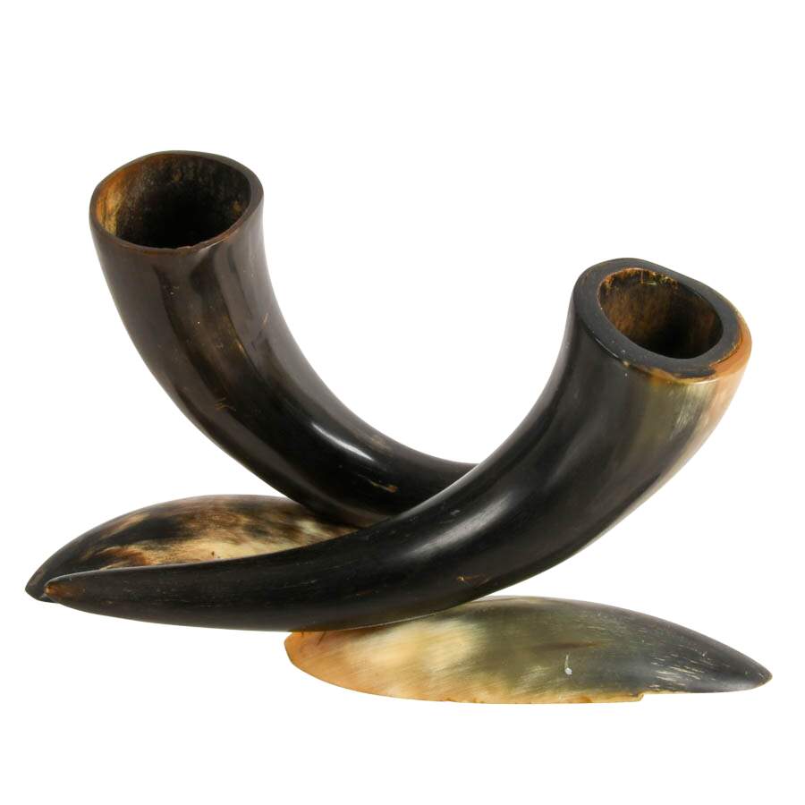 Pair of Carved Horn Vases on Bases-6