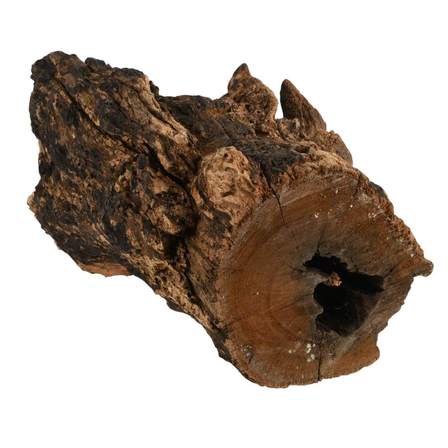 Large Sculptural Molten Glass Vase on Wood Root Base-7