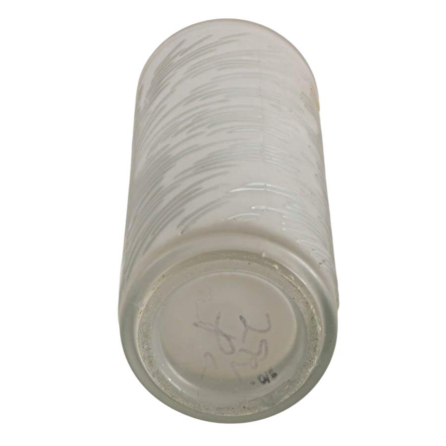 Frantisek Vizner Frosted Glass Vase-6