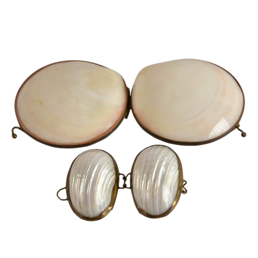 Pair of Tiger Clam and Mother of Pearl Shell Trinket Boxes-7