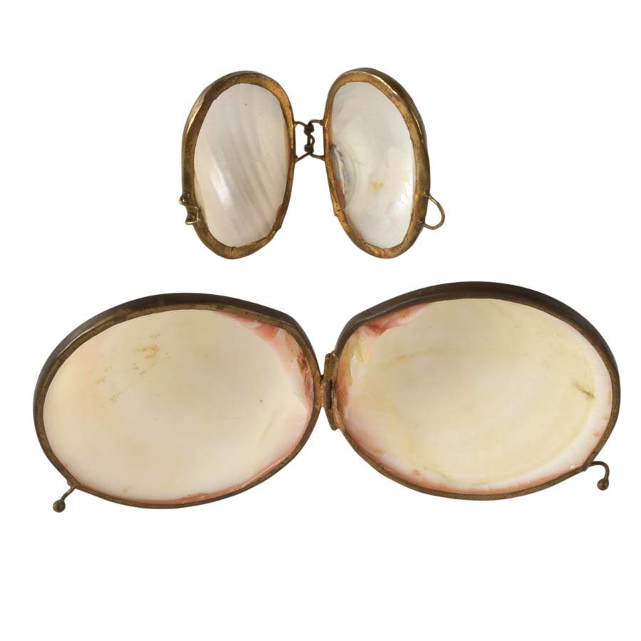 Pair of Tiger Clam and Mother of Pearl Shell Trinket Boxes-6