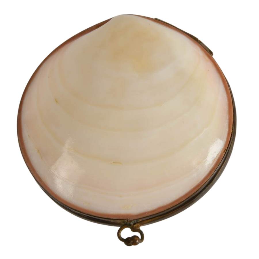 Pair of Tiger Clam and Mother of Pearl Shell Trinket Boxes-4
