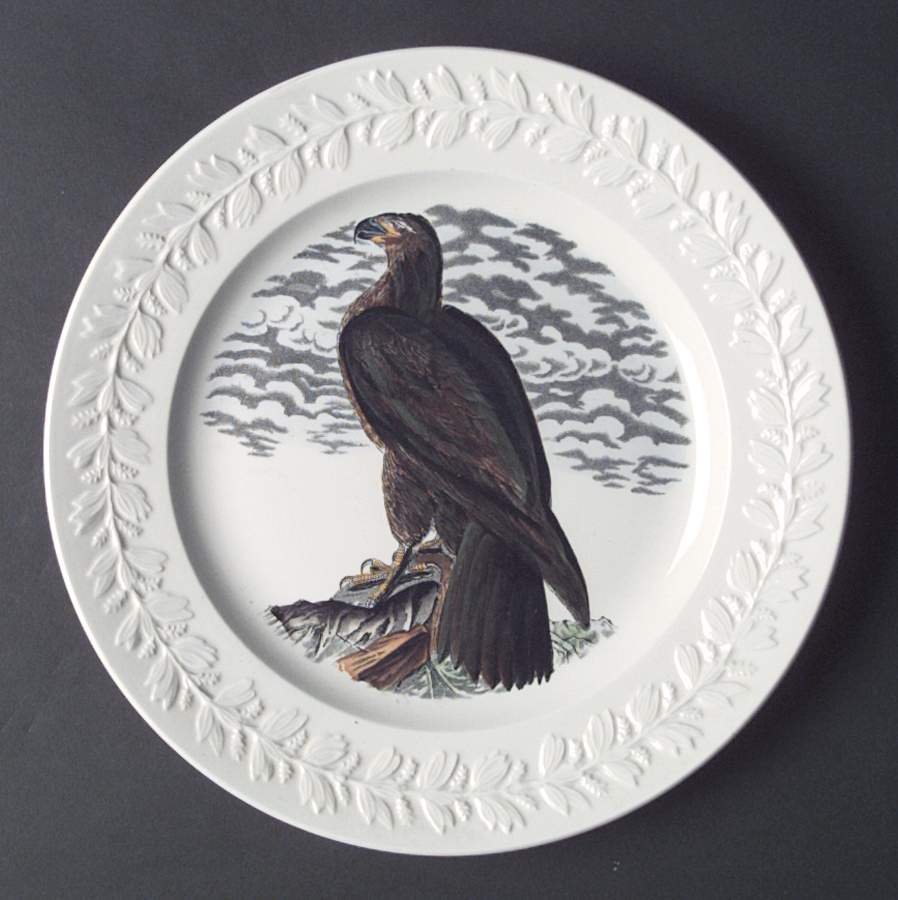 Birds of America Dinner Plate by Adams China-1