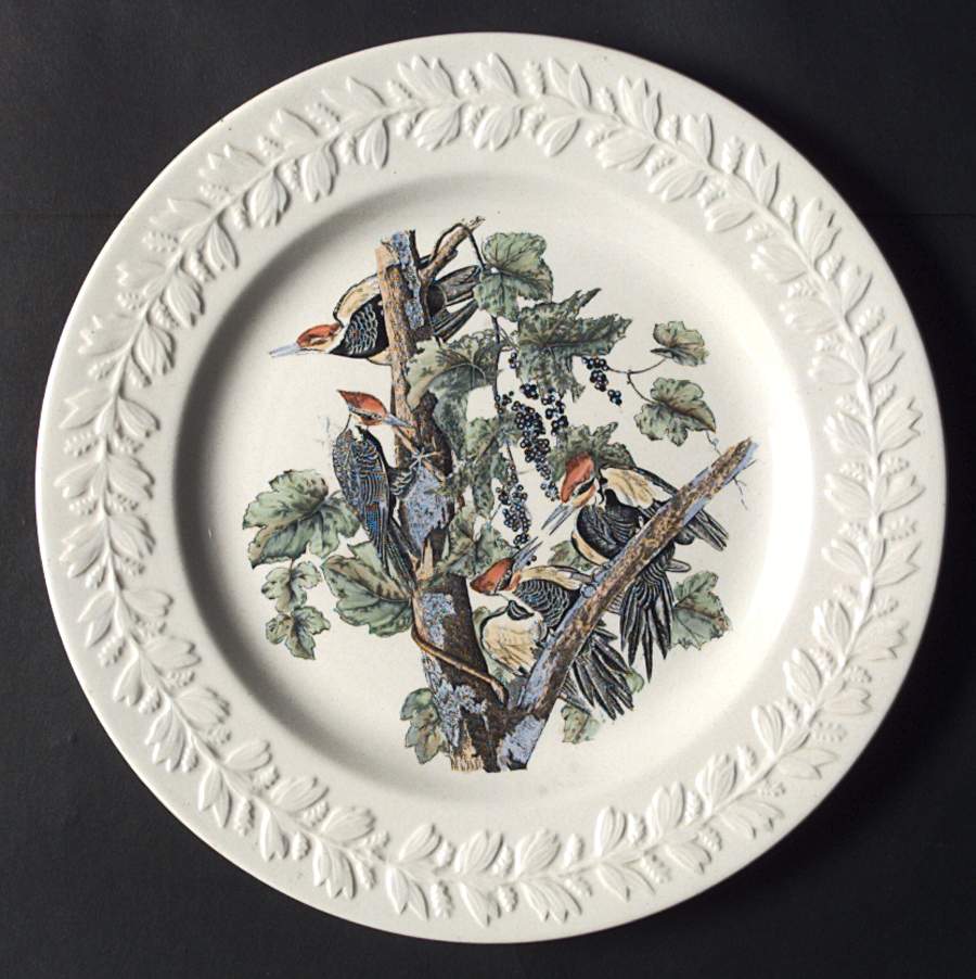 Birds of America Dinner Plate by Adams China-1