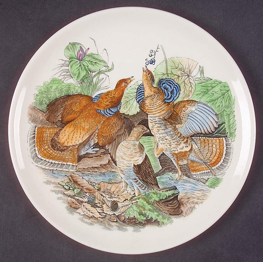 Birds of America Coupe Dessert Plate by Adams China-1