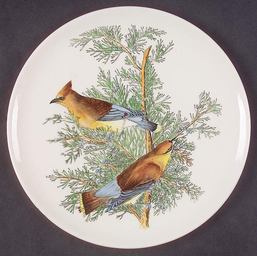 Birds of America Coupe Dessert Plate by Adams China-1