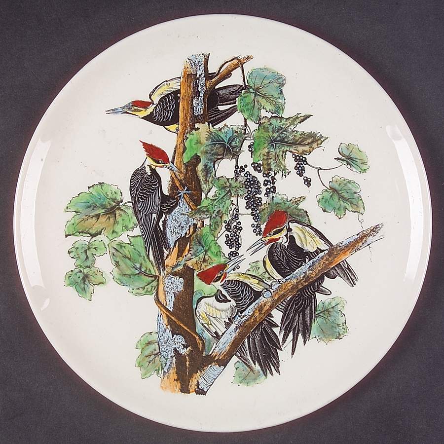 Birds of America Coupe Dessert Plate by Adams China-1
