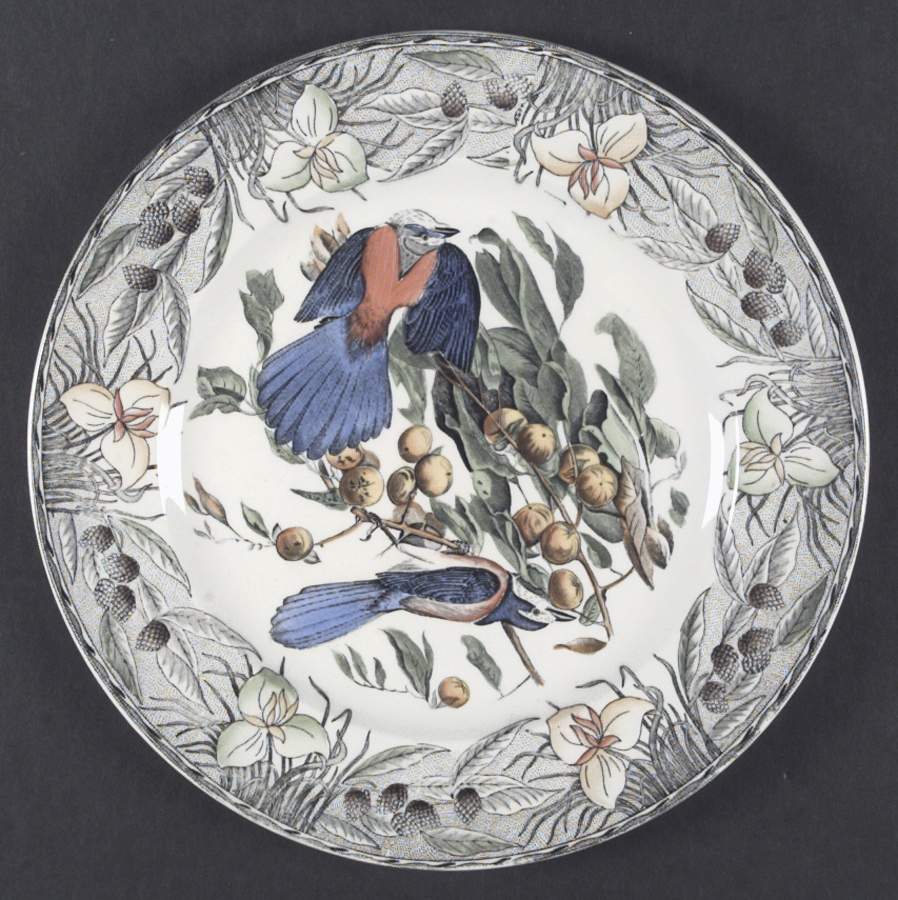 Birds of America (Floral Border) Dinner Plate by Adams China-1