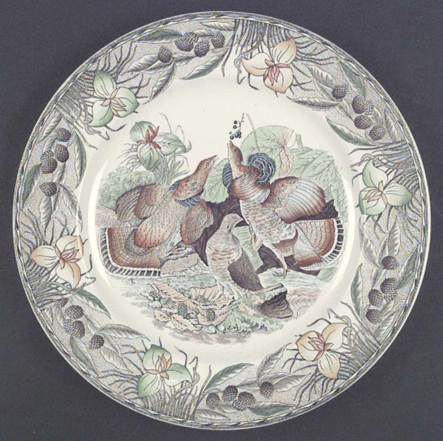Birds of America (Floral Border) Dinner Plate by Adams China-1